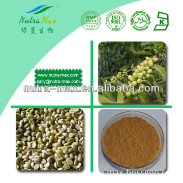 100% Natural Green Coffee Bean Extract Powder Chlorogenic Acid Price